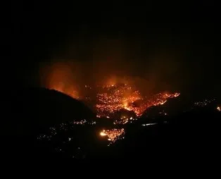 Hatay'daki yangınla ilgili çarpıcı detay! Yangın çıkarma talimatı örgüt paçavrasından mı verildi?