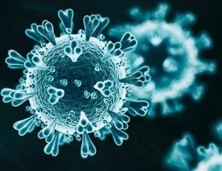 Mutasyonlu virüs hangi illerde var?