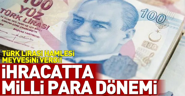 Türk Lirası hamlesi meyvesini verdi