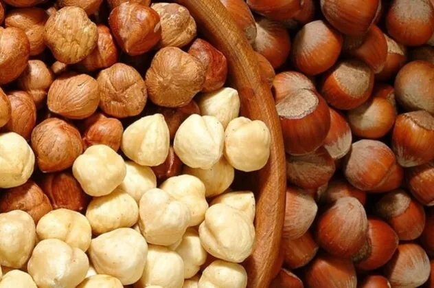 Fındık fiyatları kaç lira? 30 Mart Salı fındık fiyatı Ordu, Giresun, Trabzon il il güncel liste!