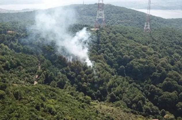 İstanbul Beykoz'da orman yangını!