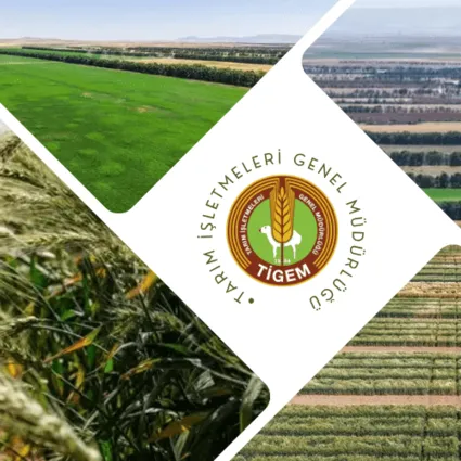 TİGEM 254 sürekli işçi alımı İŞKUR başvuru ekranı 2025: Hangi kadrolara alım yapılacak?