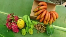 Rengi ne sarı ne de yeşil! Bu muzu görenler şaşıp kalıyor