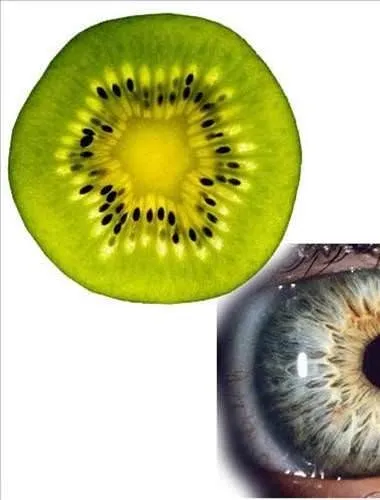 Hangi meyve hangi organa benziyor