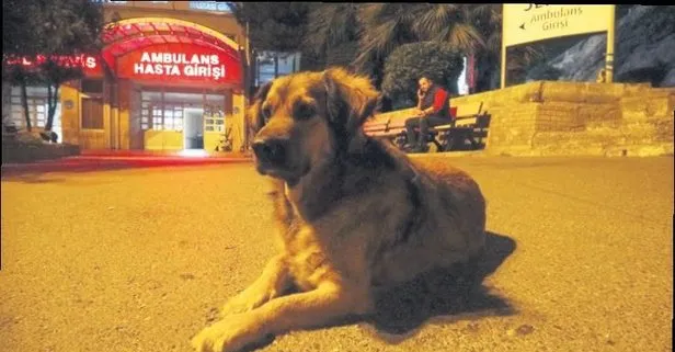 Gercek Dost Takvim