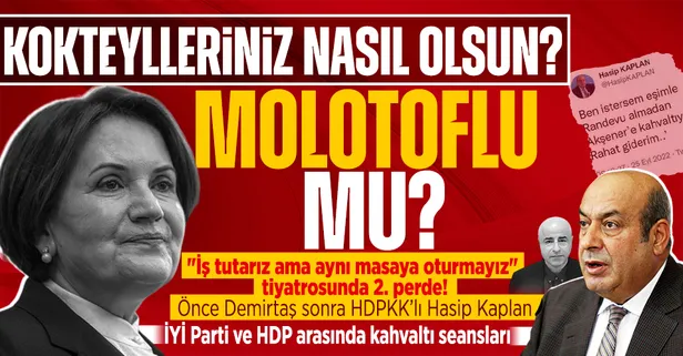 İYİ Parti ve HDP arasında kahvaltı seansları! "İş tutarız ama aynı masaya oturmayız" tiyatrosu: İstersem randevu almadan Akşener'e giderim