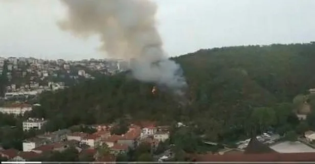Son dakika: Beykoz’da ormanlık alanda yangın! Dumanlar birçok ilçeden görülüyor.