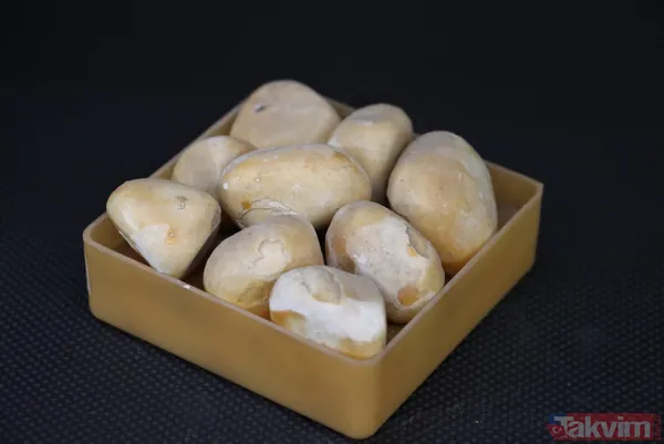 Üroloji doktorundan hayrete düşüren koleksiyon! Taşların kimisi 22 santim kimisi 650 gram - 3