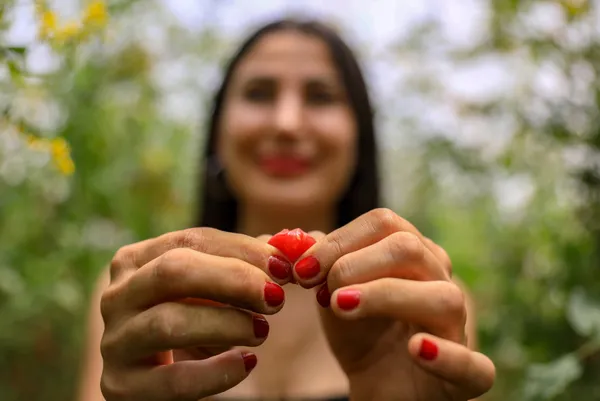 kabin-memuru-cemre-ates-bir-tohumla-basladigi-mini-seker-domatesi-uretimini-4-donume-cikardi-1623137182692.jpg Kabin memuru Cemre Ateş bir tohumla başladığı mini şeker domatesi üretimini 4 dönüme çıkardı-9