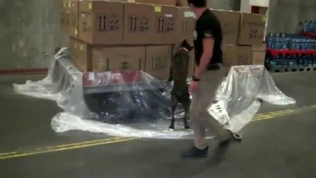 Son dakika: Atatürk Havalimanı'nda uyuşturucu operasyonu: 6 kilo 380 gram kokain ele geçirildi-2