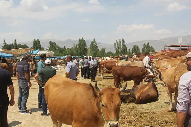 arefe-gunu-kurban-kesilir-mi-kurban-kesim-vakti-saati-ne-zaman-baslar-ne-zaman-biter-bayramin-2-3-ve-4-gunu-kurban-kesilir-mi-2021-1626677751205.jpg Arefe günü kurban kesilir mi? Kurban kesim vakti saati ne zaman başlar, ne zaman biter? Bayramın 2. 3. ve 4. günü kurban kesilir mi 2021?-3