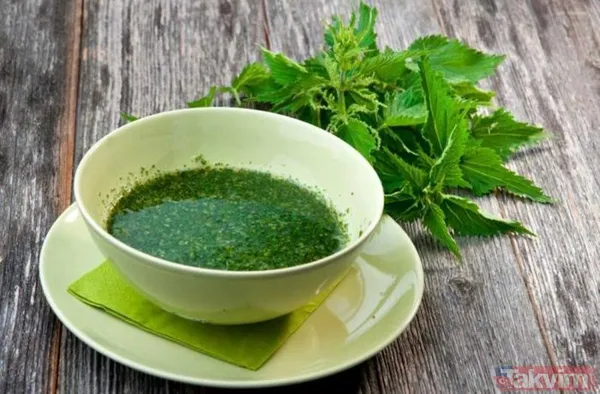 İbn-İ Sina'nın Önerdiği Bu Asırlık Reçeteyi Modern Tıp Araştırmaları Da Doğruluyor. Isırgan Otunun Antioksidan Özellikleri Sayesinde Solunum Yolları...