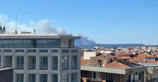 Çanakkale Boğazı’nda gemi trafiğini durduran yangın! Ulaştırma ve Altyapı Bakanlığı duyurdu | Eceabat’ta yangın