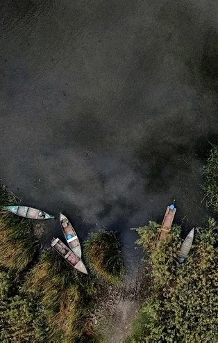 Uluabat Gölü can çekişiyor! Yürek yakan görüntüler