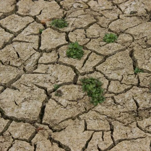 İstanbul’u besleyen 10 baraj alarm veriyor!