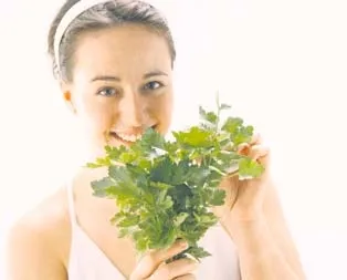 Karaciğer iltihabına maydanoz kürü