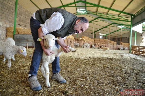 Abi-kardeş kariyerlerini bıraktılar 800 hayvanlı sürü sahibi oldular - 13