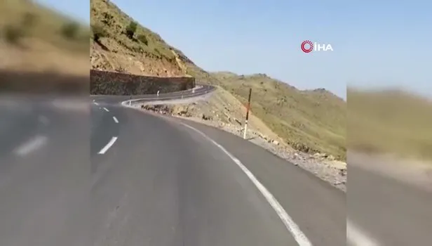 Irak sınırında sürü halinde dağ keçileri görüntülendi