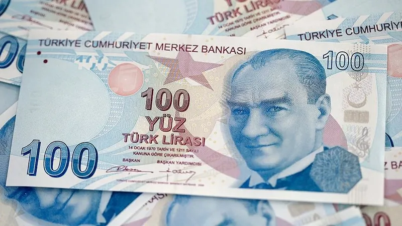calisan-annelere-bakici-destegi-2025-yeni-odeme-tutari-ve-basvuru-detaylari-1741007443887.jpg 2025 çalışan annelere bakıcı desteği: Yeni ödeme tutarı ve başvuru detayları-3