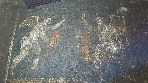 İzmir'deki kaçak kazıdan 2 bin yıllık mozaik çıktı: Roma villasının kalıntıları görüntülendi!-5