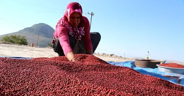 Sumak tansiyon ve diyabeti engeller