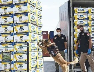 Türkiye tarihinin en büyüğüydü! Uyuşturucu zulasından Muz Kralı çıktı