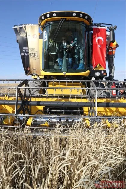 Başkan Erdoğan biçerdöverde buğday hasatı yaptı