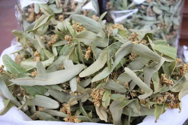 kilosu-400-lira-600-liraya-kadar-cikabilir-gribin-kalkani-ihlamur-1634624659990.jpg Kilosu 400 lira 600 liraya kadar çıkabilir! Gribin kalkanı ıhlamur-3