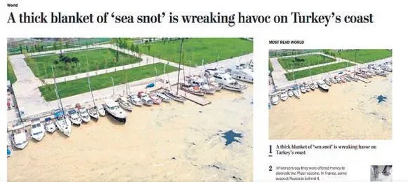 Marmara Denizi'ndeki deniz salyası krizi, Washington Post'a bile haber oldu-1
