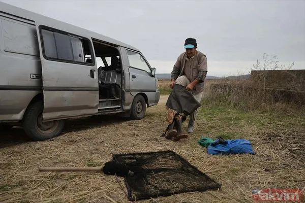 Günlük 900 lira kazanıyorlar! Türkiye'nin birçok ilinden toplanan kurbağalar Avrupa'ya ihraç ediliyor - 47