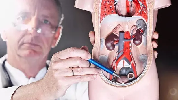 sackiran-cilesine-kortizon-ile-son-prof-dr-burhan-engin-acikliyor-1638129460065.jpeg Saçkıran çilesine kortizon ile son! Prof. Dr. Burhan Engin açıklıyor...-2