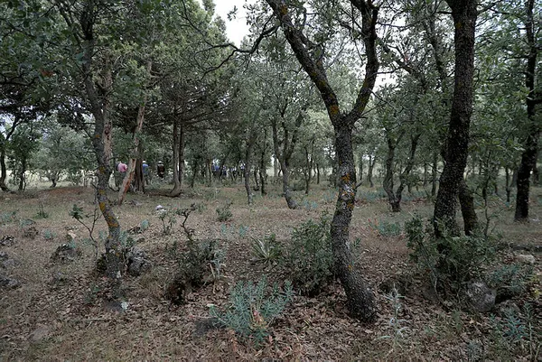 99-yil-sonra-bulundular-yunan-isgali-sirasinda-katledilmislerdi-1592313344762.jpg 99 yıl sonra bulundular! Yunan işgali sırasında katledilmişlerdi...-1