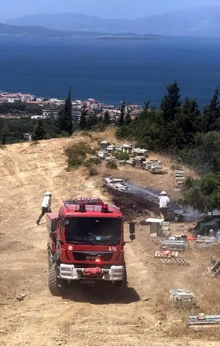 İzmir'de orman yangını! Havadan ve karadan müdahale başladı