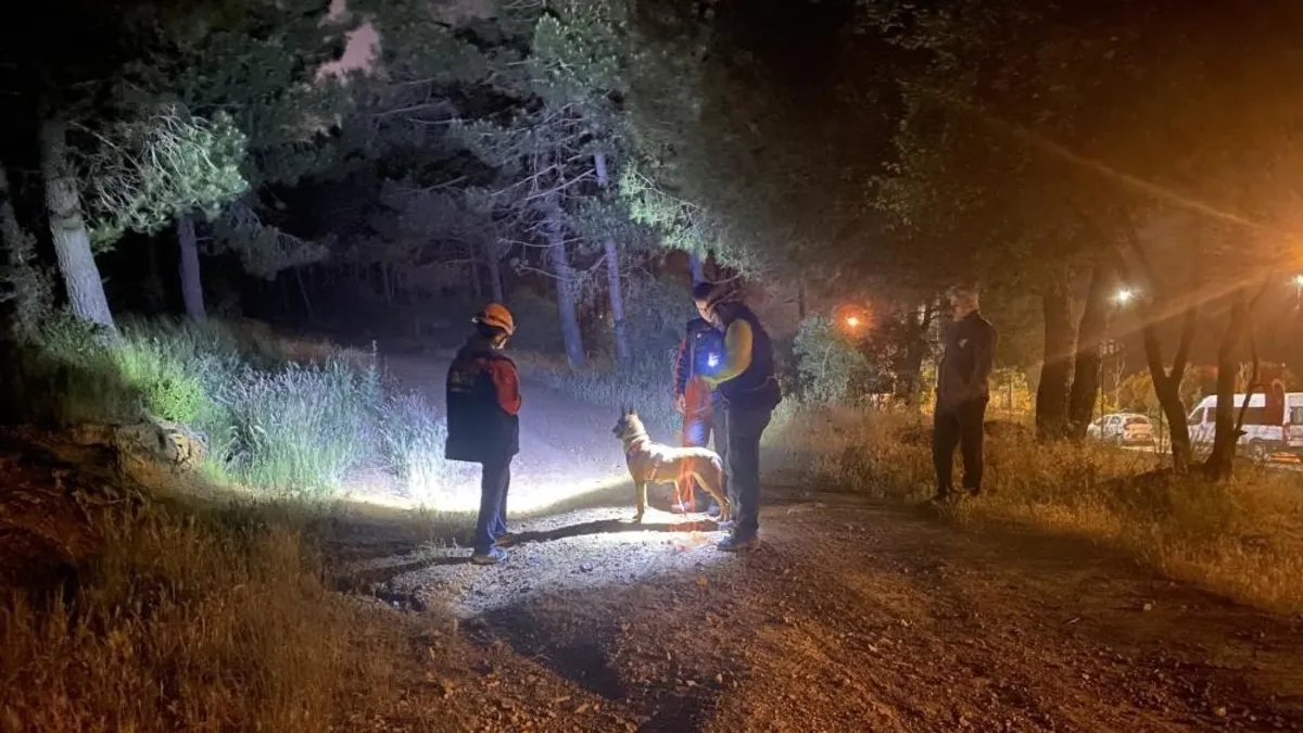 Pendik'te ormanda kaybolan kişi için ekipler harekete geçti!