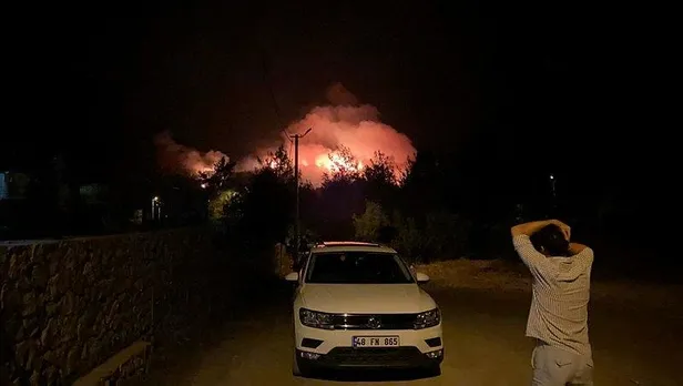 Türkiye'de peş peşe orman yangınları! Başkan Erdoğan açıkladı: 5 il Genel Hayata Etkili Afet Bölgesi ilan edildi-12