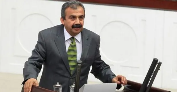 Sırrı Süreyya Önder kimdir, nereli? Sırrı Süreyya Önder neden gözaltına alındı?