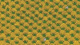 Zeka testi: Ananasların içindeki 4 mısır nerede? 867 kişiden 33’ü 15 saniyede bulabildi