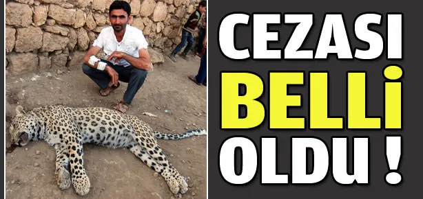 Leoparı öldüren köylünün cezası belli oldu