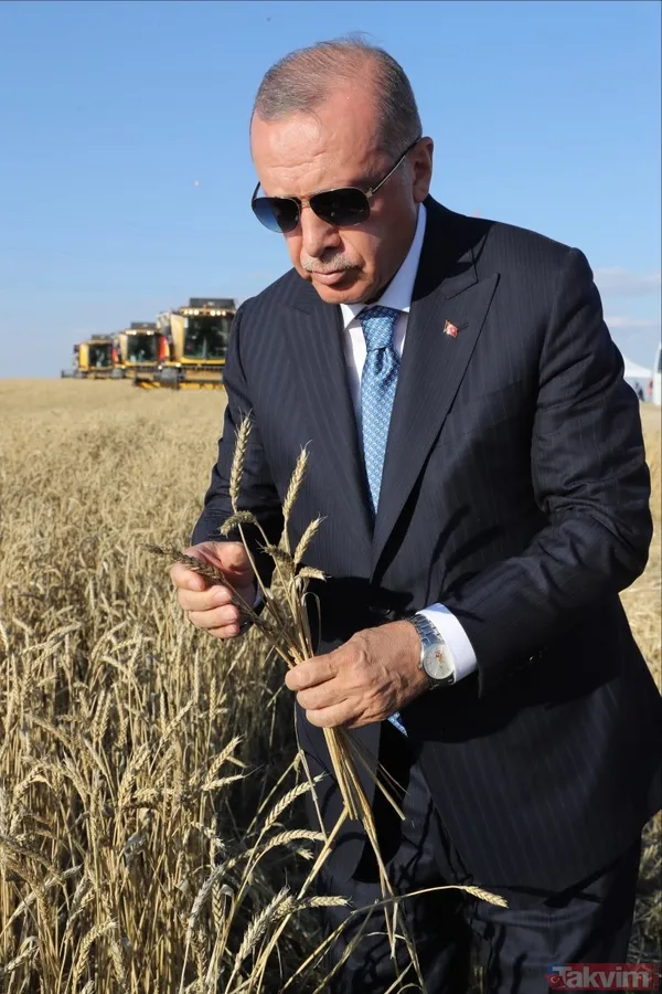 Başkan Erdoğan biçerdöverde buğday hasatı yaptı - 32