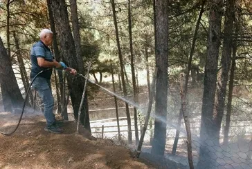 Osmaniye'de orman yangını