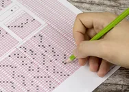 Adana LGS 2020 lise taban puanları ve yüzdelik dilimler bilgileri! 2020 LGS Adana lise puanları!