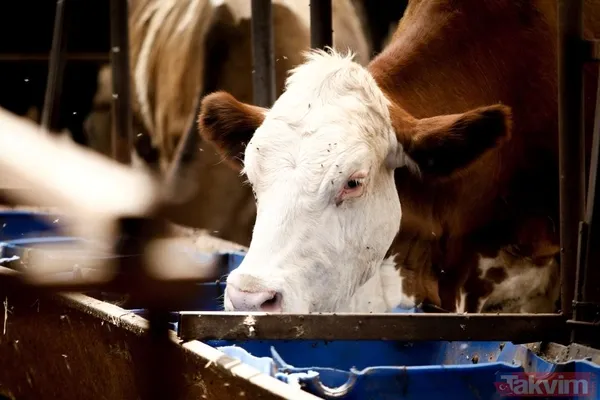 "Önce Gülüp Geçtim" Başarılı İş Kadının Eşi Saadettin Öncel İse, Eşinin Bu Kadar İlerleyebileceğine Kendisinin De İnanamadığını Belirterek, "Daha Önce Polis...