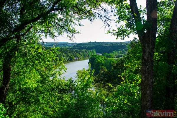 Tarım ve Orman Bakanlığı personel alımı ne zaman? 2019 OGM 5000 memur alımı şartları belli oldu mu? - 11