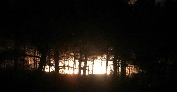 Tekirdağ'da orman yangını