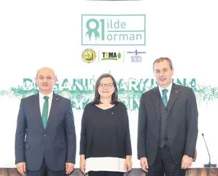 81 ilde 81 orman