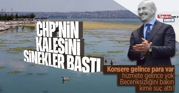 İzmir’deki pis koku ve sivrisinek kabusuna Tunç Soyer’den skandal savunma! AK Parti’den jet hızında yanıt