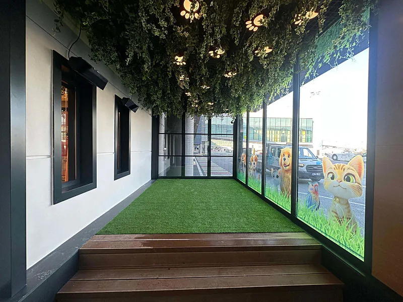 THY, İstanbul Havalimanı'nda Pet Lounge hizmete açtı (DHA)