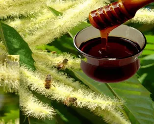 Üretimi 20 ton arttı üreticinin yüzü güldü