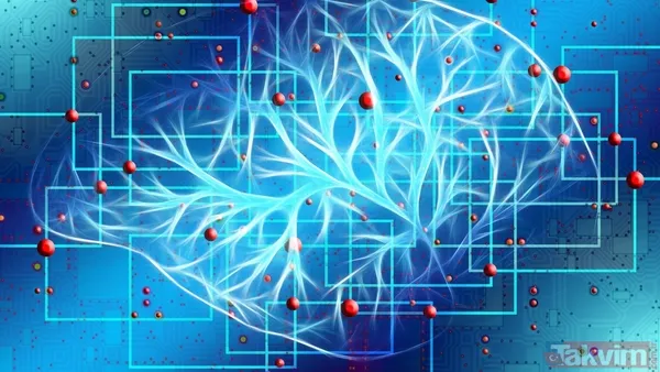 10 milyon nöron 26 milyar bağlantı! İşte dijital beynin ilk görüntüsü... - 2