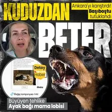 Kim bu Ankara’yı karıştan ’köpekvelisi’? Karantinayı deldi ’peygamberler şehri’ne hakaret etti: Büyüyen kuduz tehlikesi, ayak bağı mama lobisi